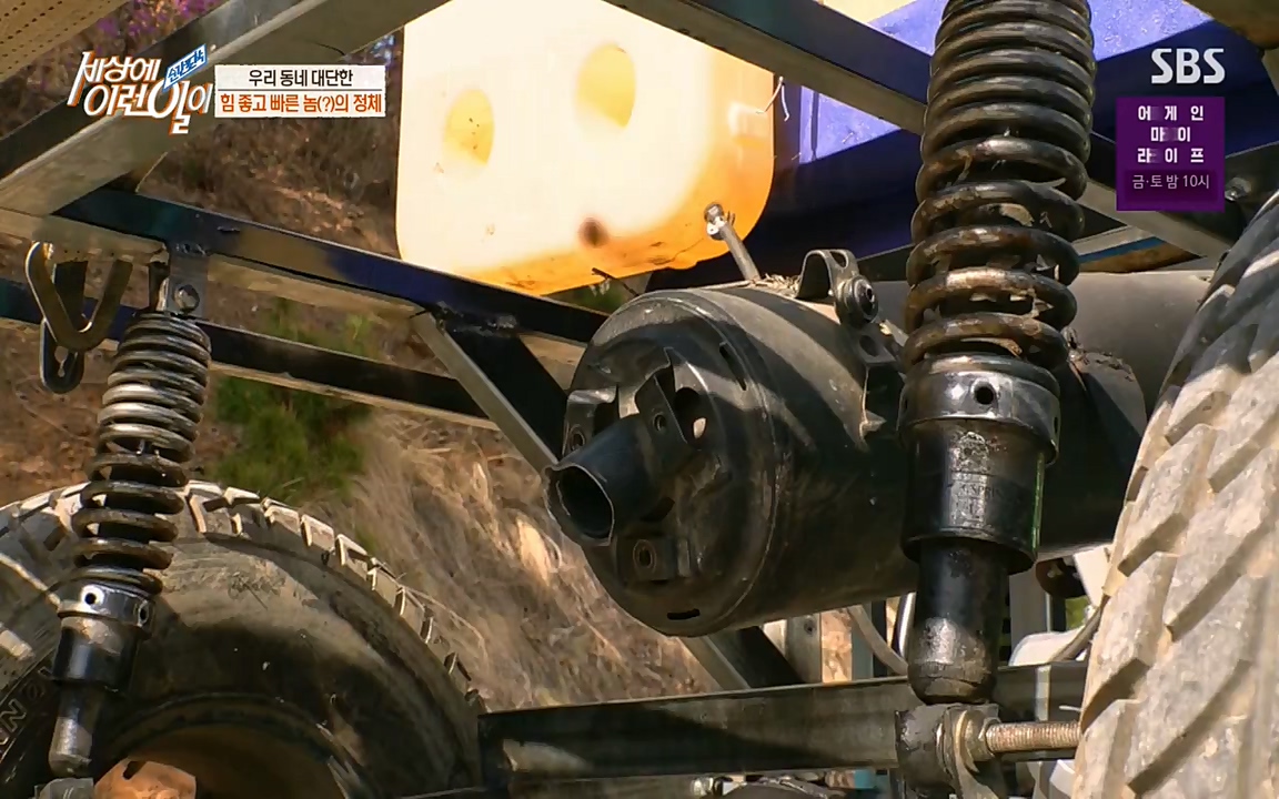 순간포착 세상에 이런일이.E1175.220413p-NEXT.mp4_20220413_175834.635.jpg