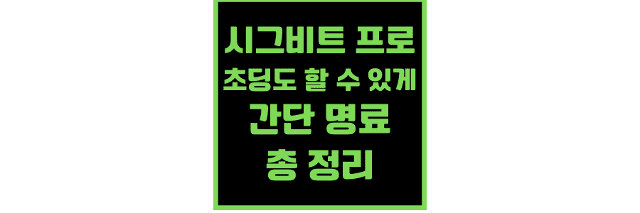 시그비트-프로-초딩도-할-수-있게-간단-명료-총-정리