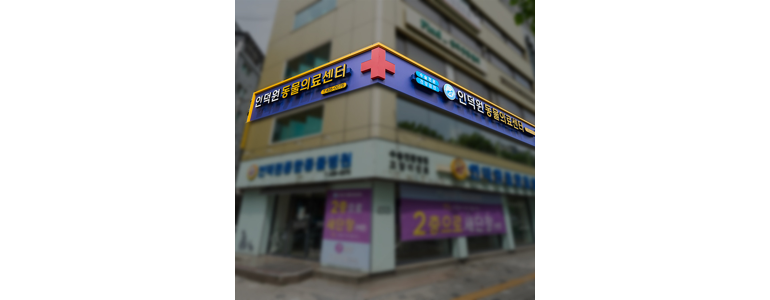 안양 동안구 동물병원
