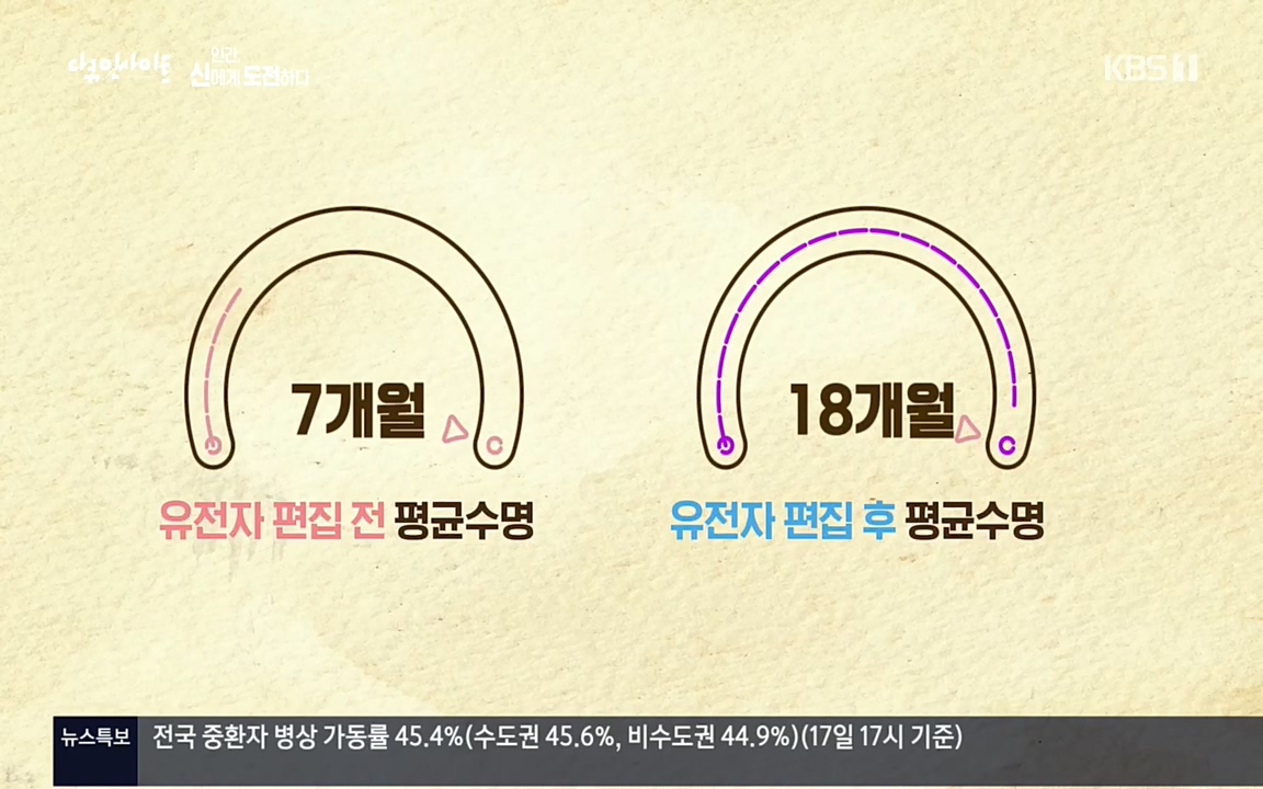다큐 인사이트.E121.220819p.H264-F1RST.mp4_20220822_180515.115.jpg
