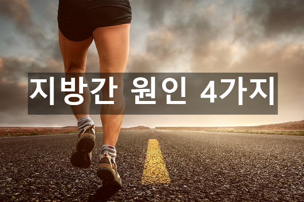  지방간 원인 4가지