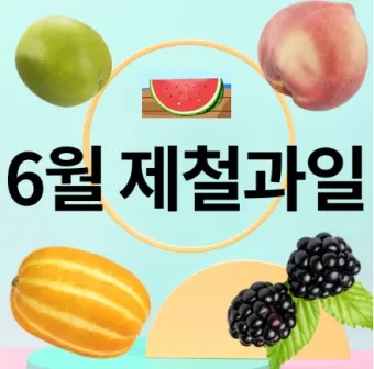 6월 제철 과일 추천 여름 과일 종류_4