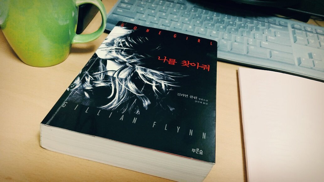  소설 <나를 찾아줘>