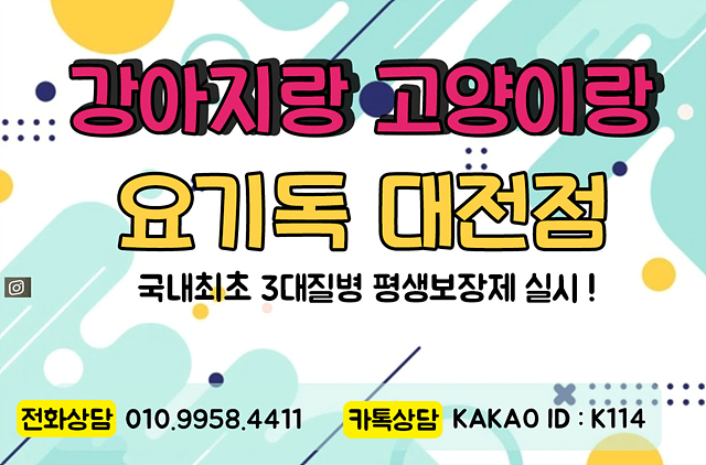  대전강아지분양 실시간상담