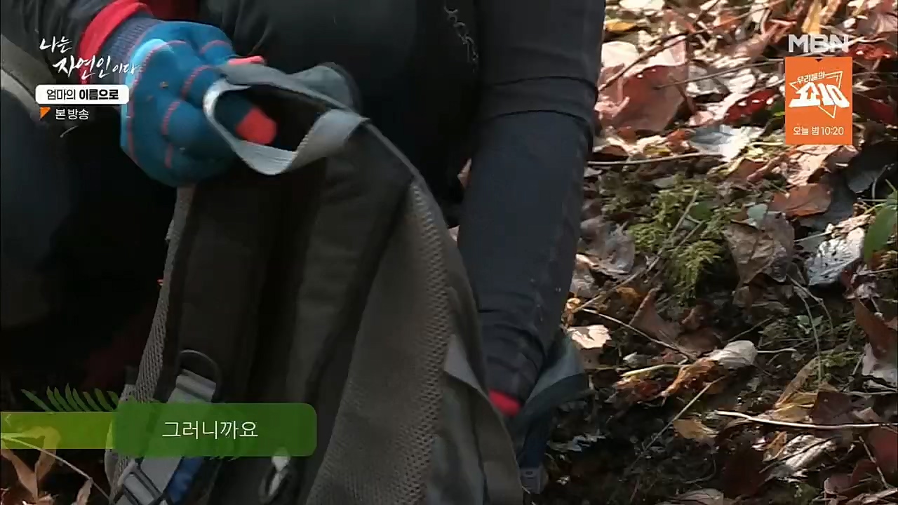 나는 자연인이다.E531.221208p.H264-F1RST.mp4_20221208_204236.336.jpg