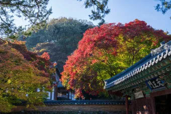 공주 가볼만한곳 베스트10 현지인 추천 필수코스_8