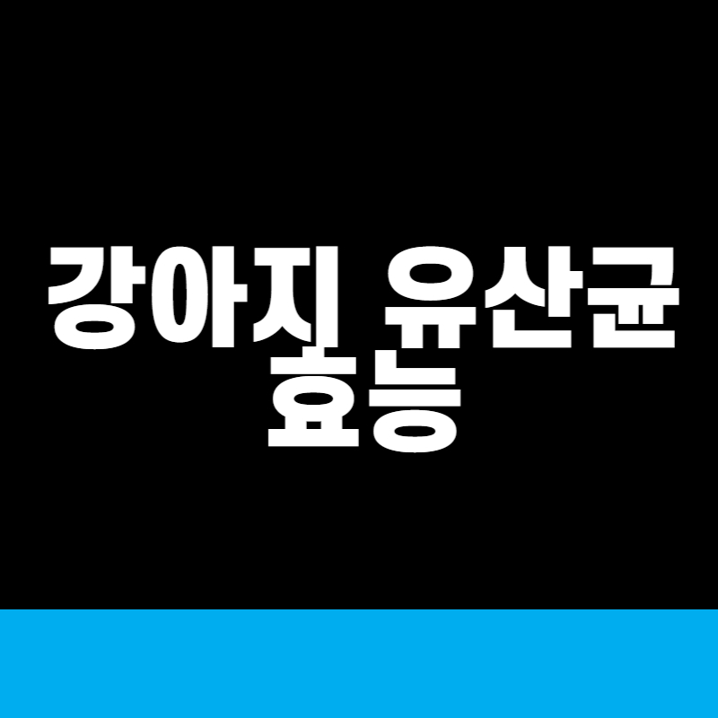 강아지 유산균 효능