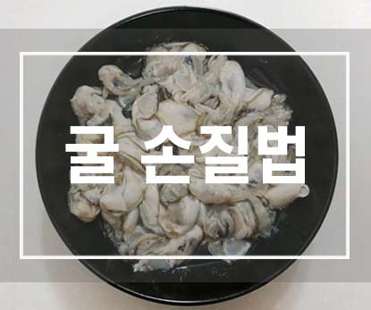  굴 손질하는 방법(굴 씻는 방법)
