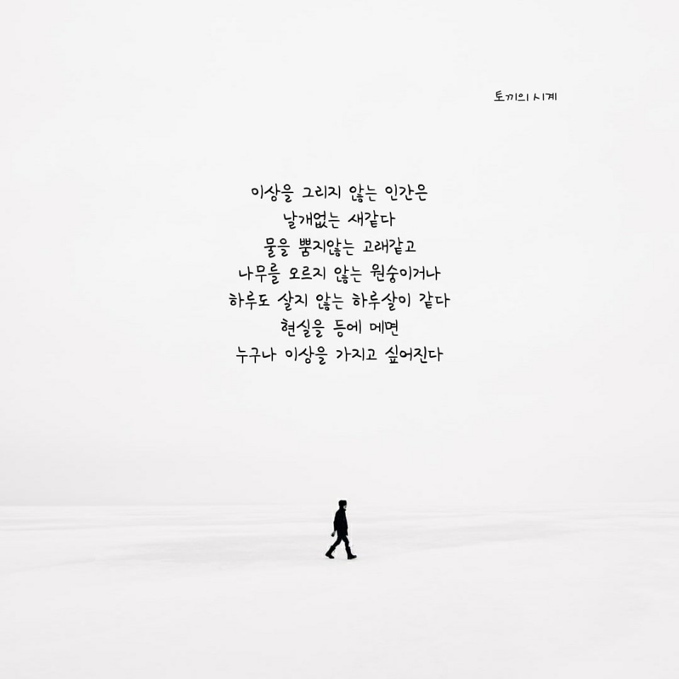  나는 시인이 되고 싶었다20