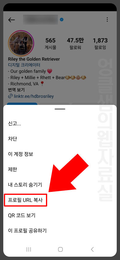 인스타그램 프로필 URL 복사