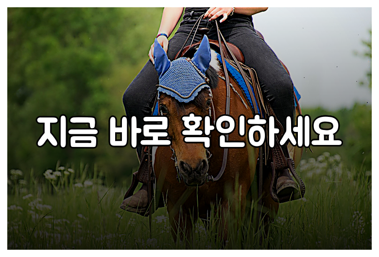 지금 바로 확인하세요