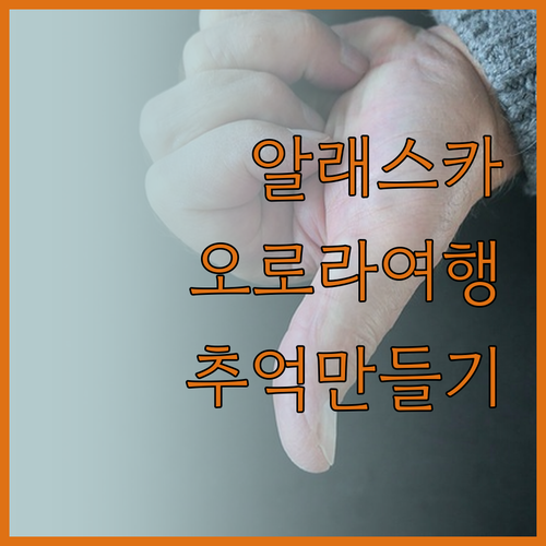 알래스카 여행, 오로라 데날리 로지에