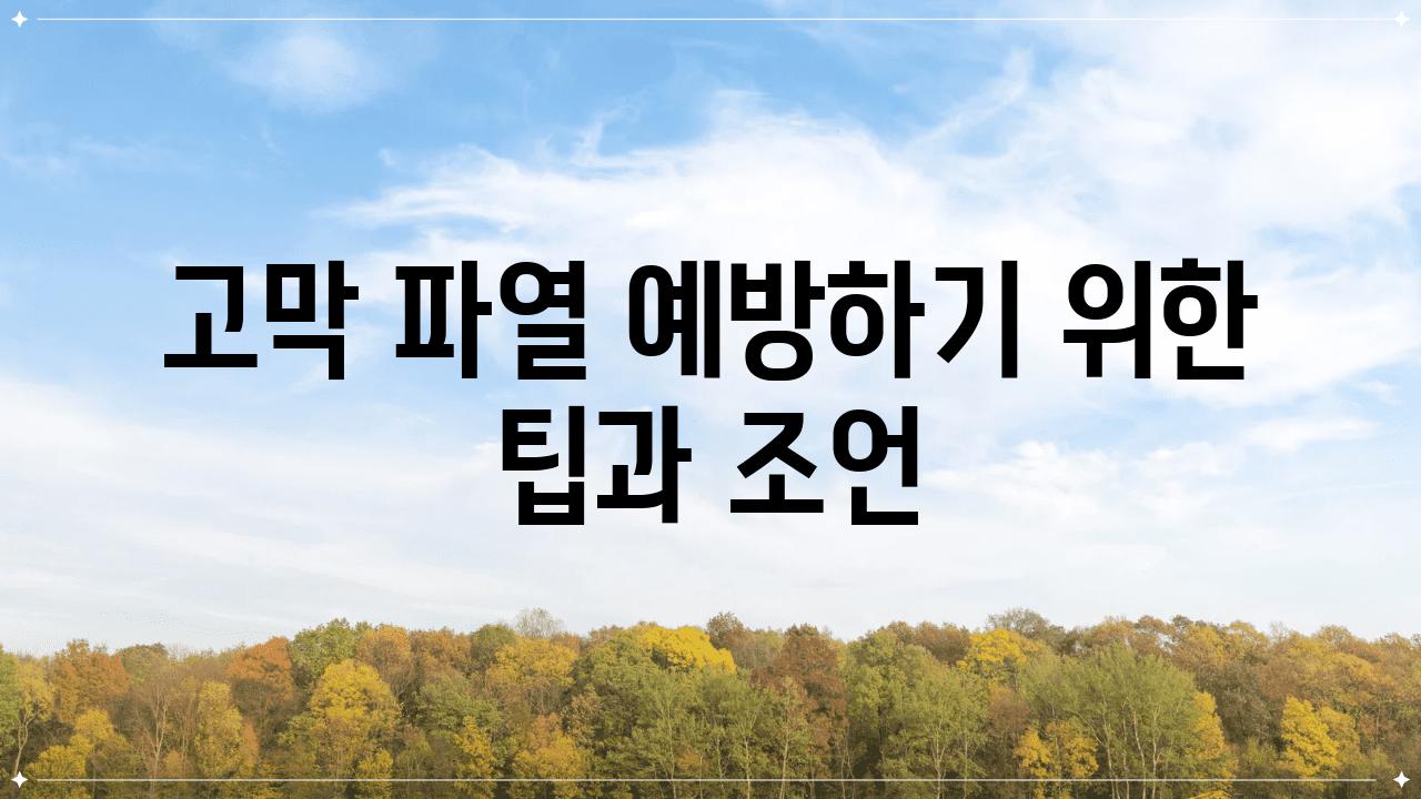 고막 파열 예방하기 위한 팁과 조언