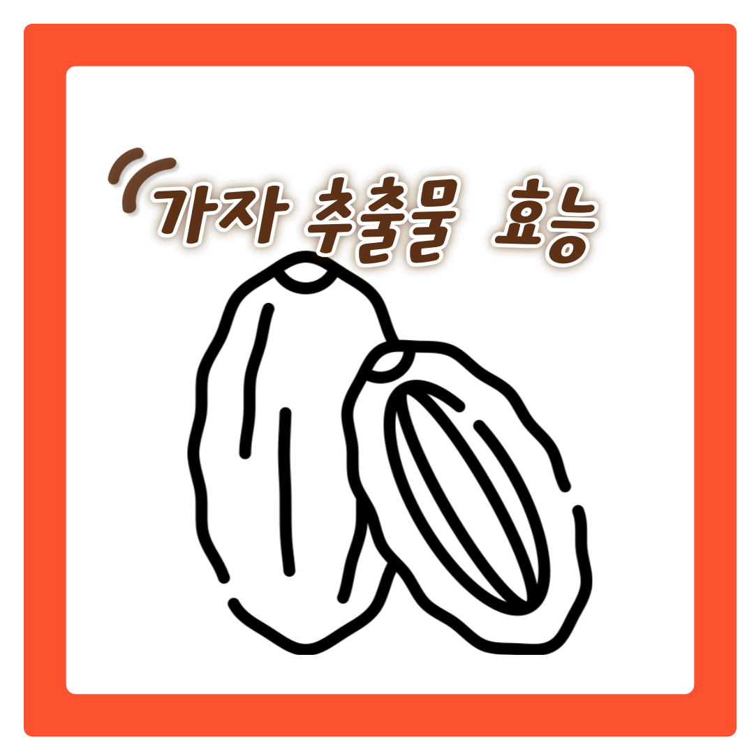  가자 추출물 효능 6가지 및 부작용 먹는법 알아보기