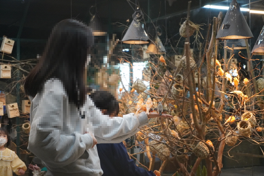  동탄 주렁주렁 아이와 가볼만한곳 행복한 실내 데이트 라크몽점