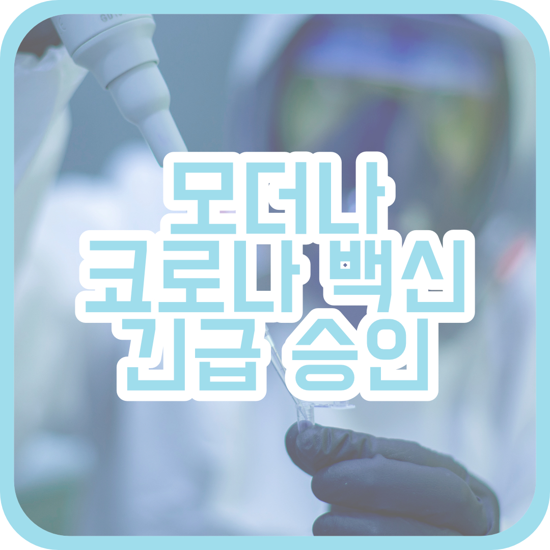  코로나 백신 모더나 긴급 승인, 다음은 국내 제약사 중 어딜까?