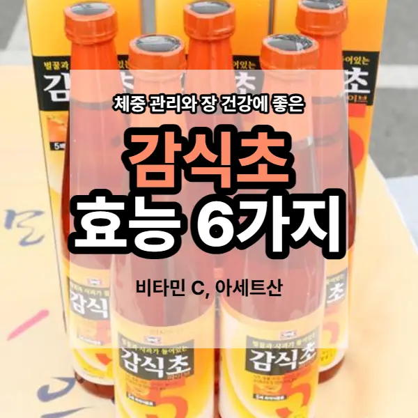 감식초 다이어트 방법