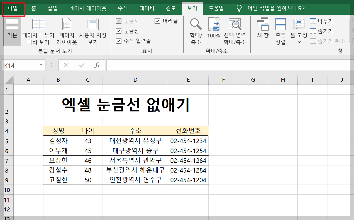 엑셀 눈금선 없애기