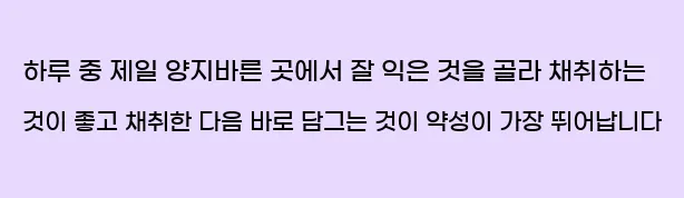  하루 중 제일 양지바른 곳에서 잘 익은 것을 골라 채취하는 것이 좋고 채취한 다음 바로 담그는 것이 약성이 가장 뛰어납니다