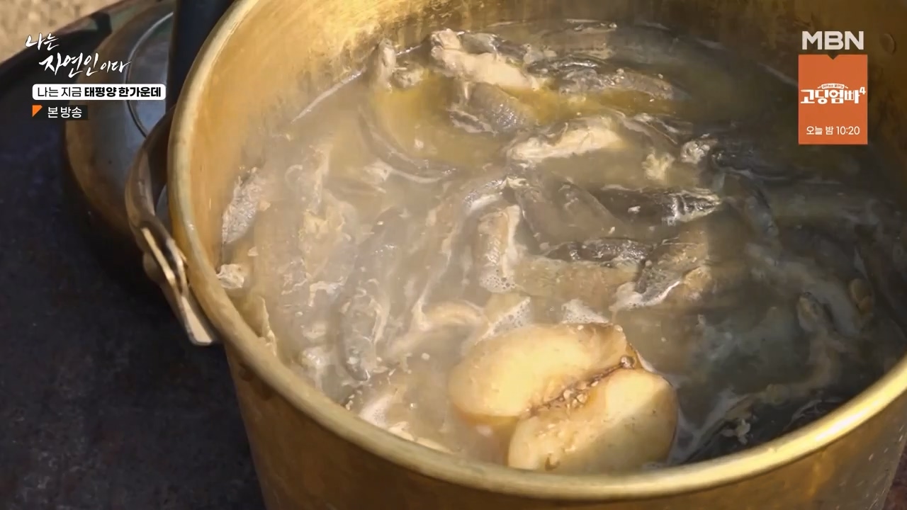 나는 자연인이다.E581.231123p-NEXT.mp4_20231123_200717.066.jpg