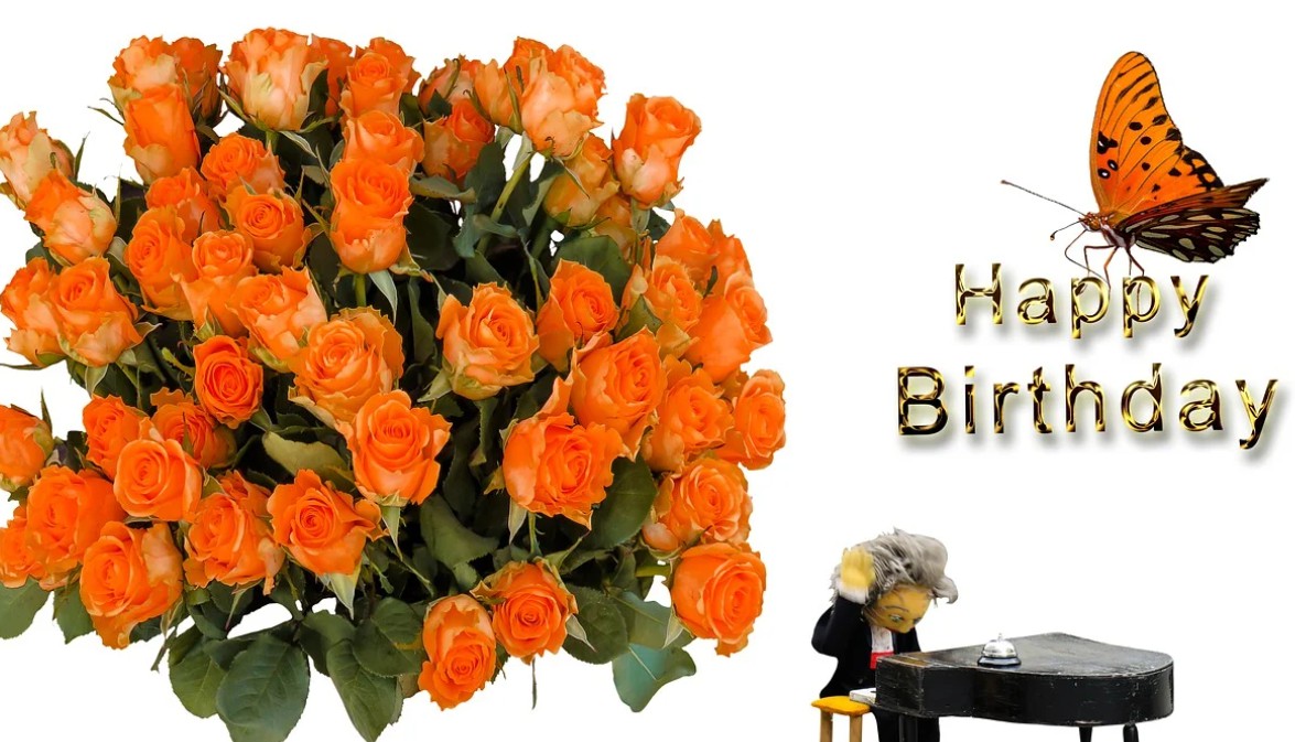 생일 꽃 선물 추천