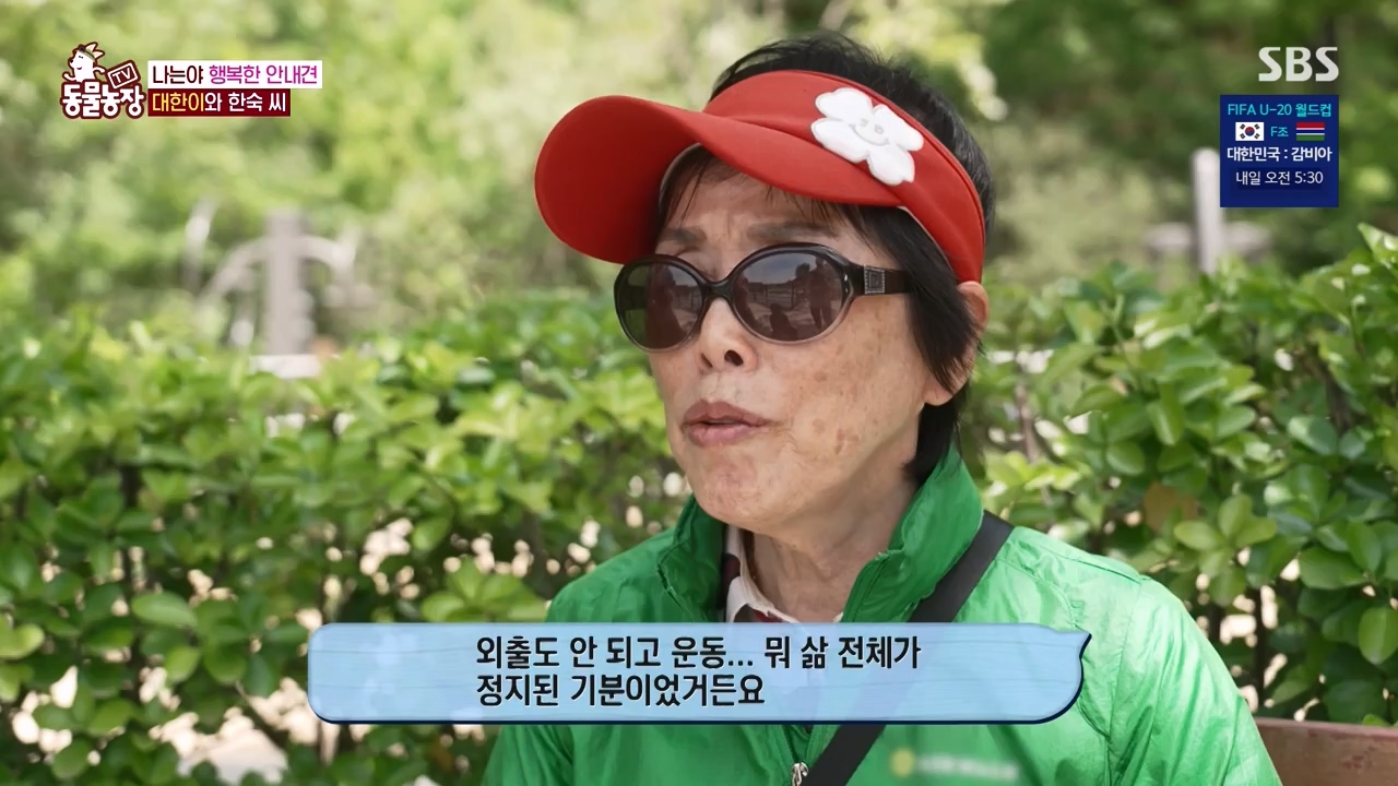 TV 동물농장.E1122.230529p-NEXT.mp4_20230528_170256.551.jpg