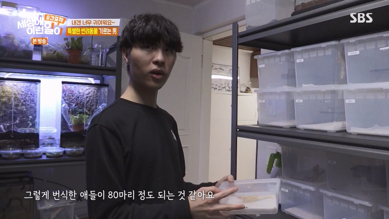 순간포착 세상에 이런일이.E1269.240317p-NEXT.mp4_20240317_163614.644.jpg