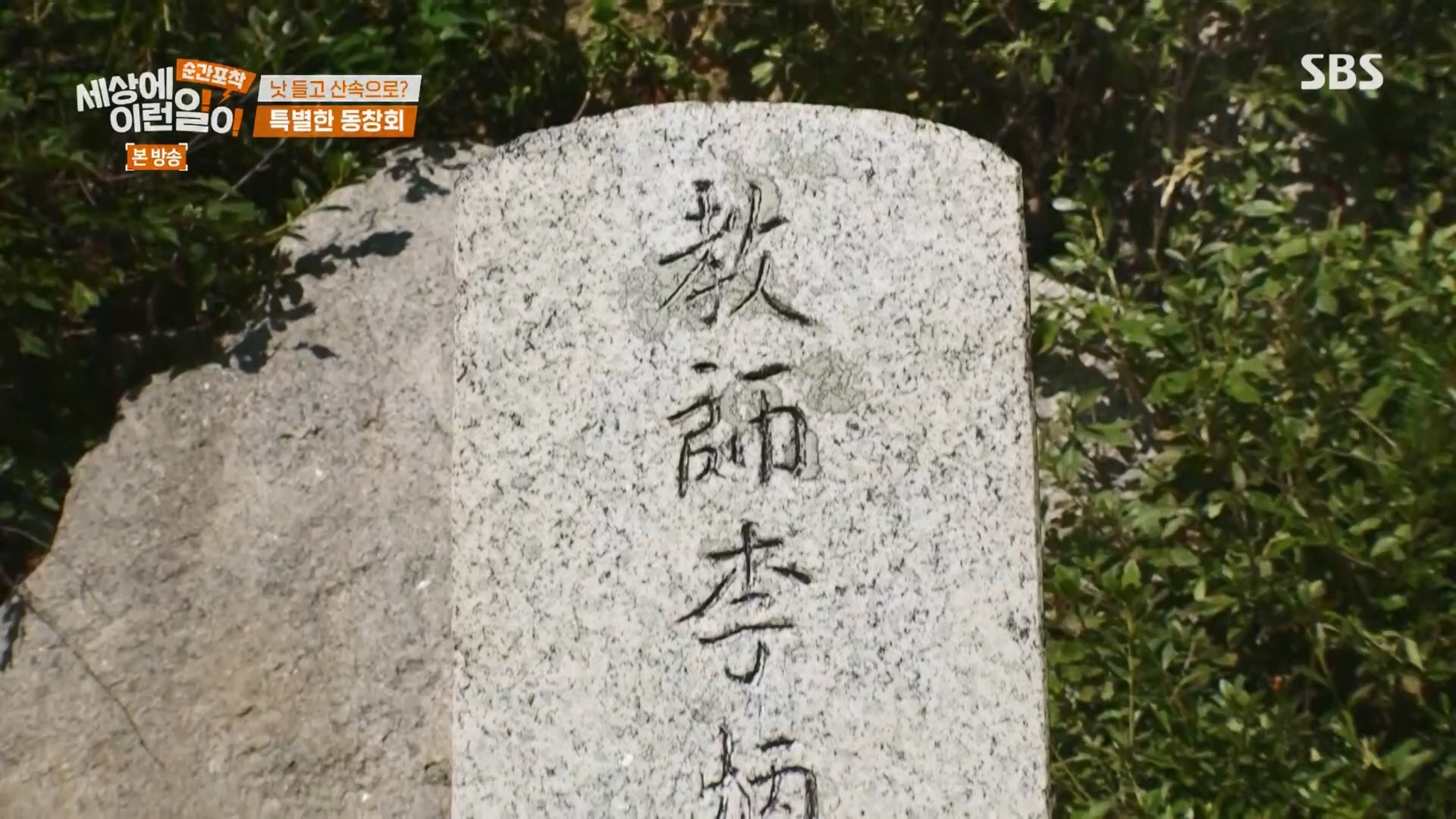 순간포착 세상에 이런일이.E1241.230812p.H264-F1RST.mp4_20230813_132632.997.jpg