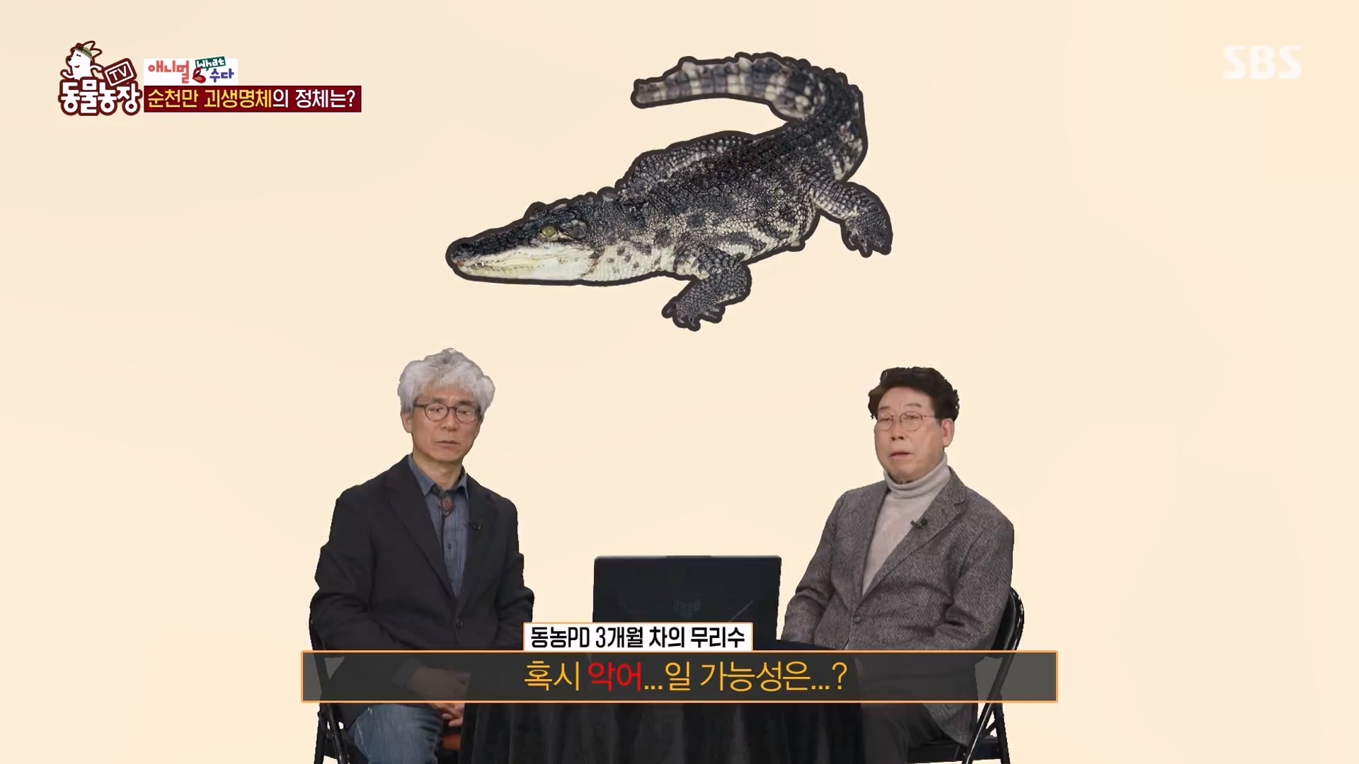 TV 동물농장.E1164.240324p-NEXT.mp4_20240324_170418.260.jpg