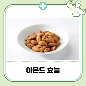아몬드 효능 하루 섭취량 칼로리_10