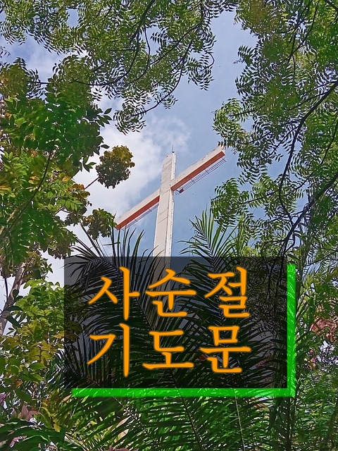  사순절 대표 기도문