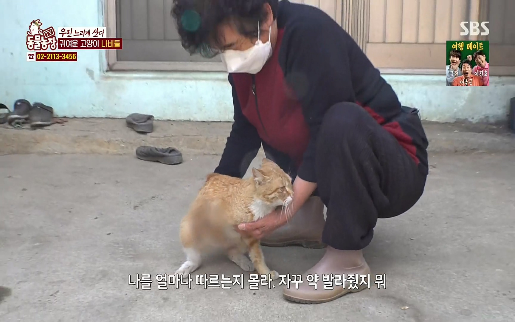 TV 동물농장.E1067.220501p.H264-F1RST.mp4_20220501_183723.396.jpg