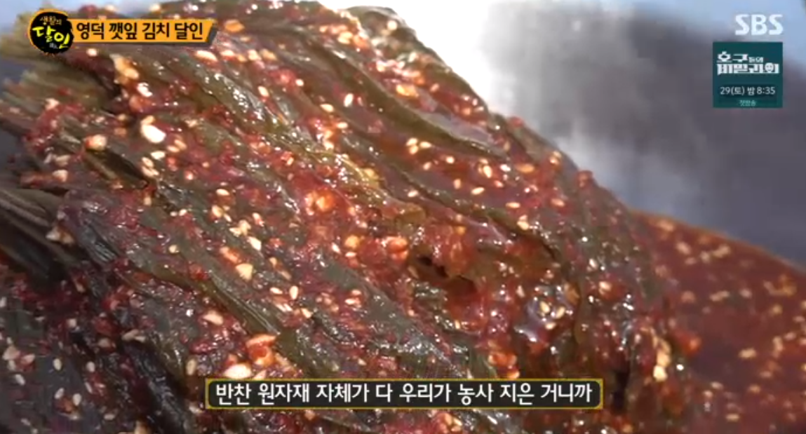  생활의 달인 영덕 깻잎김치 달인 택배 주문