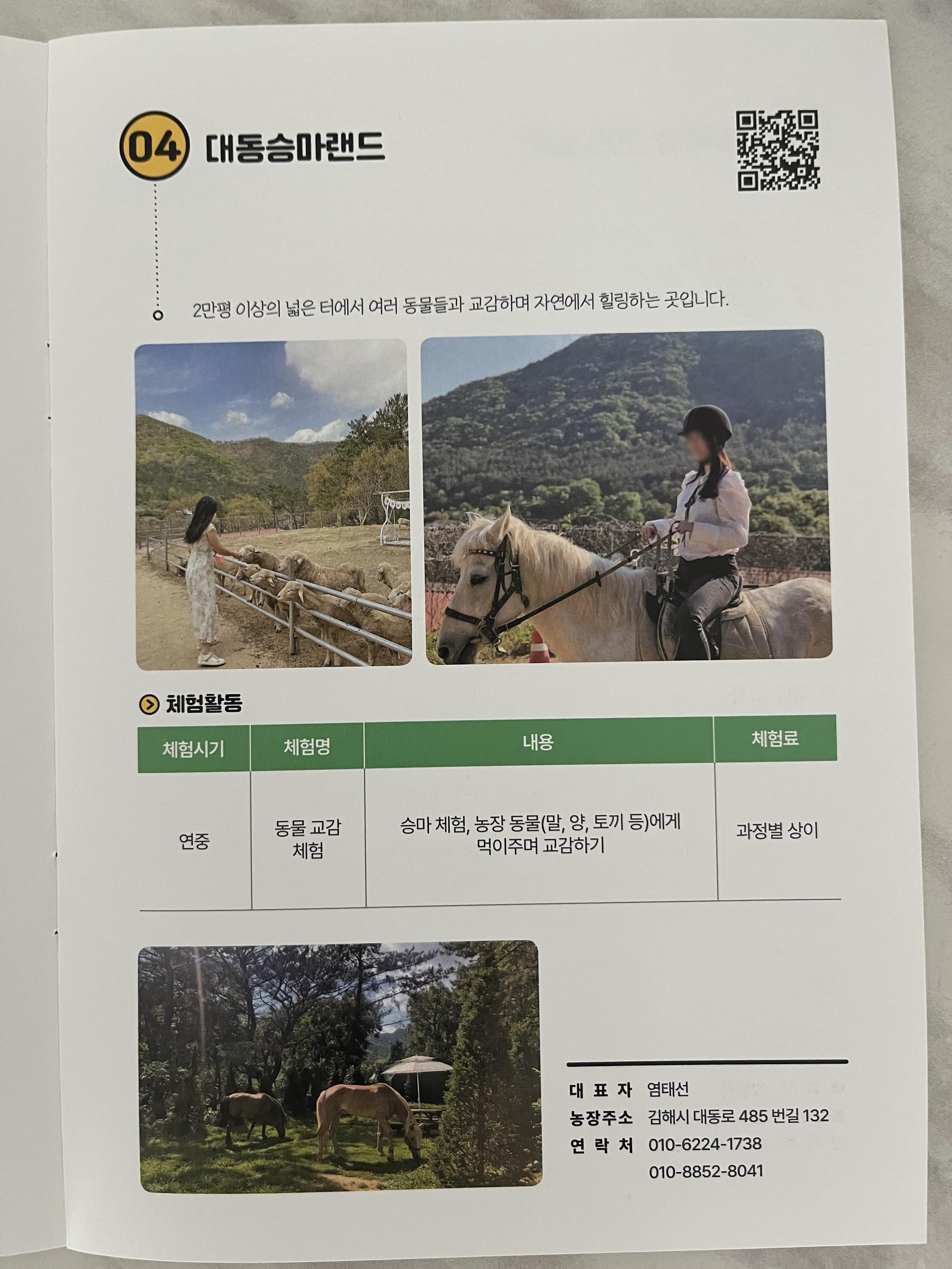 대동승마랜드
