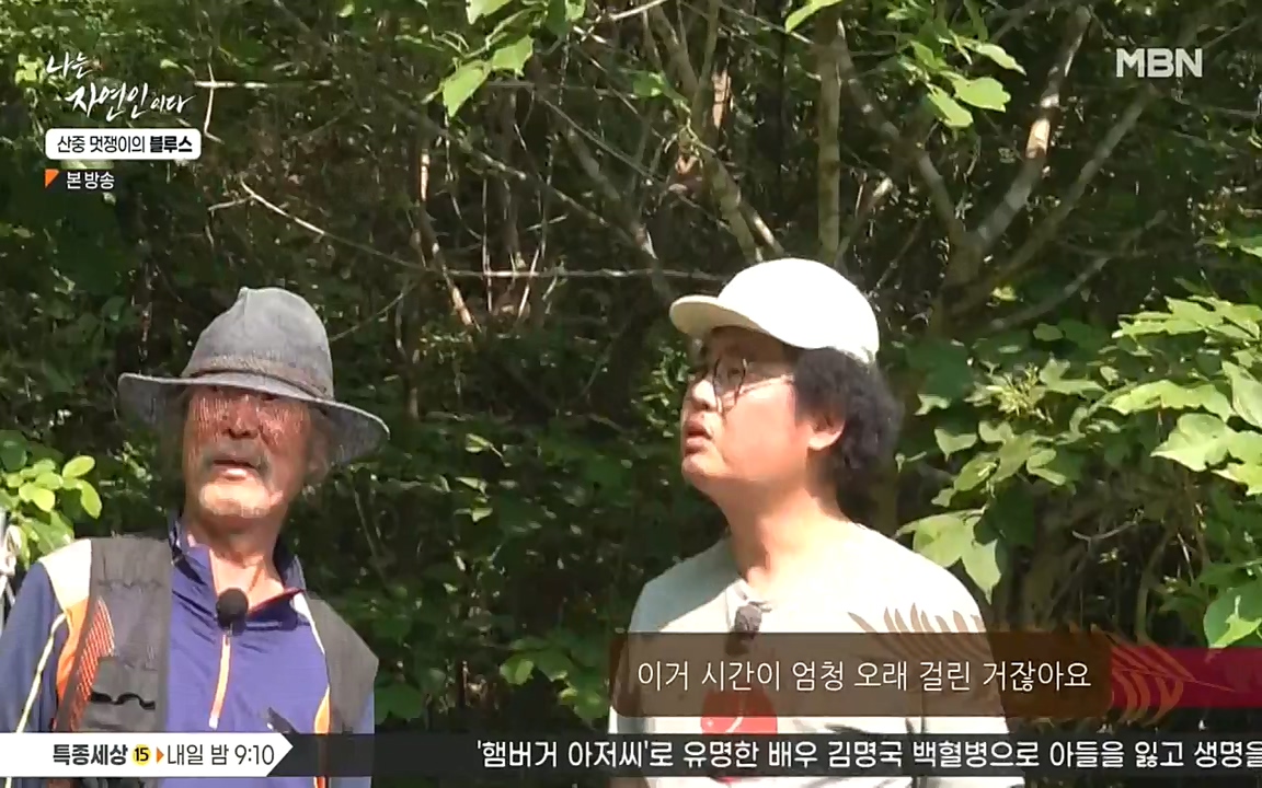나는 자연인이다.E505.220609p-NEXT.mp4_20220609_200159.899.jpg
