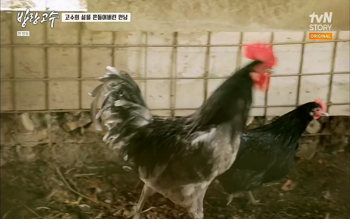 방랑고수.E05.220427p.H264-F1RST.mp4_20220428_191351.233.jpg