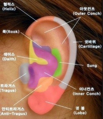  피어싱 총정리