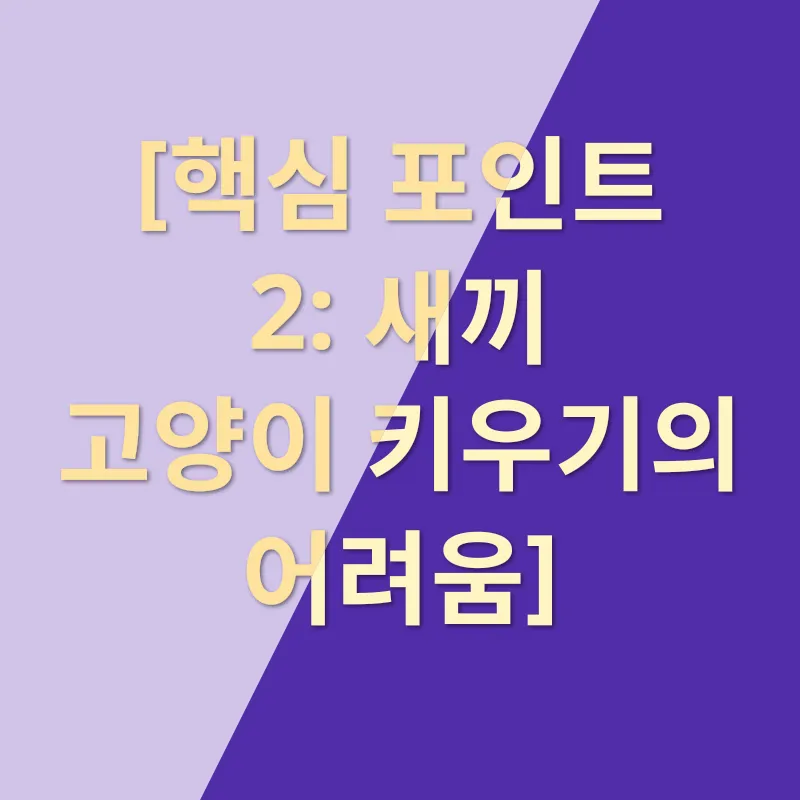 길냥이 입양, 반려동물 사랑_2