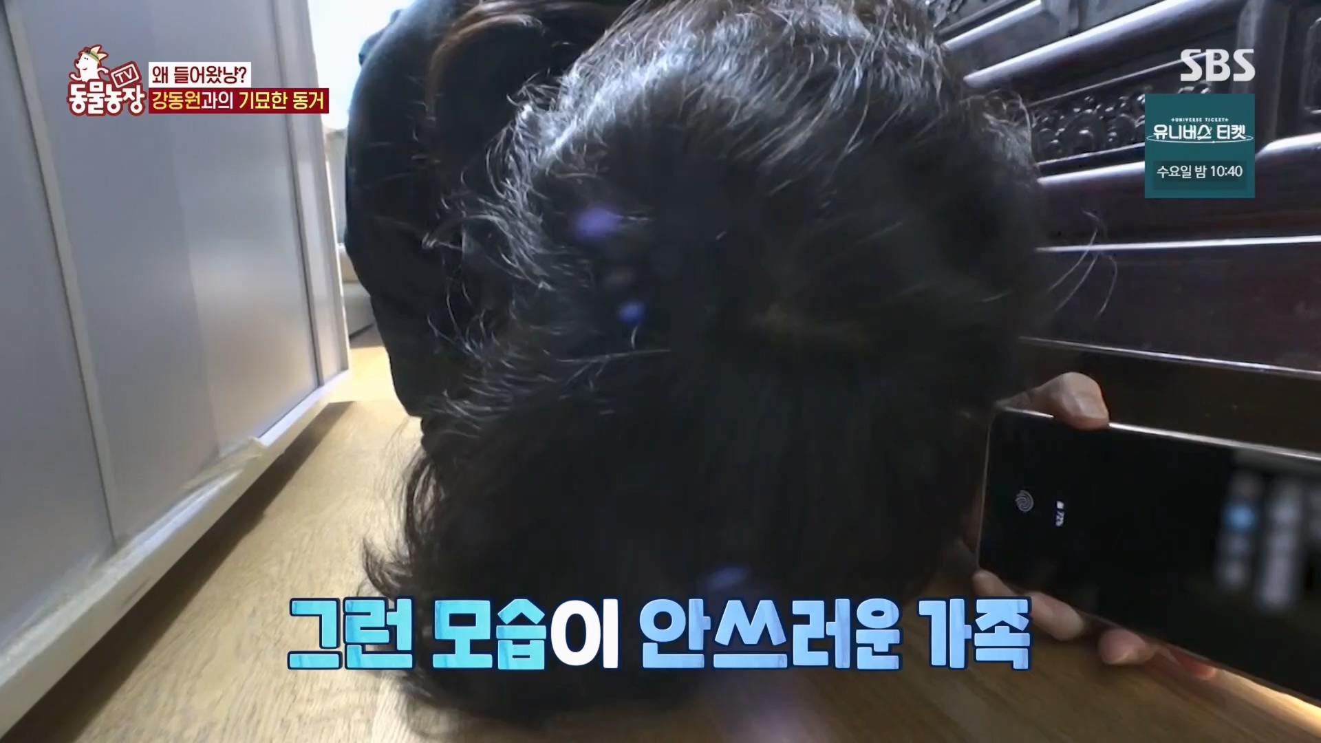 TV 동물농장.E1148.231203p.H264-F1RST.mp4_20231203_165832.429.jpg