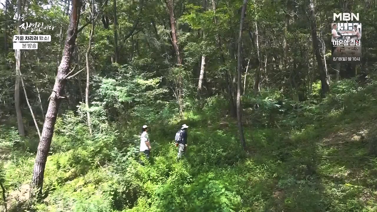 나는 자연인이다.E617.240808p-NEXT.mp4_20240808_195054.208.jpg