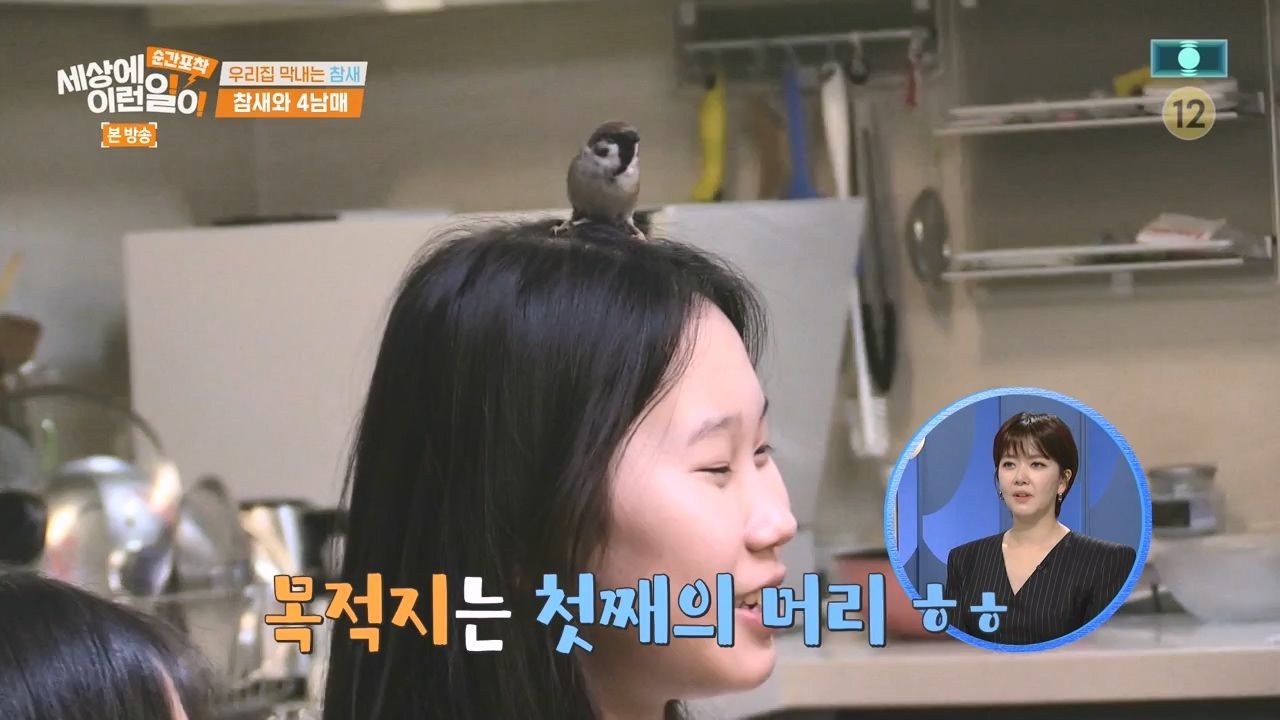 순간포착 세상에 이런일이.E1272.240407p-NEXT.mp4_20240407_175002.062.jpg