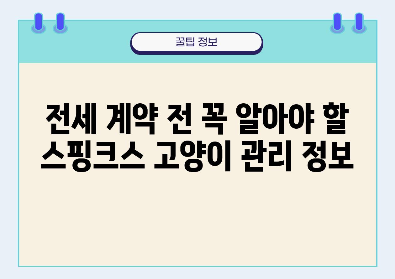 전세 계약 전 꼭 알아야 할 스핑크스 고양이 관리 정보