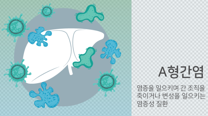  확인되지 않은 조개젓 섭취 조심하세요! A형간염 걸릴수도!