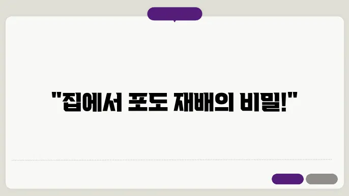 짐에서 포도나무 키우기 손쉽게 키우는 방법과 관리