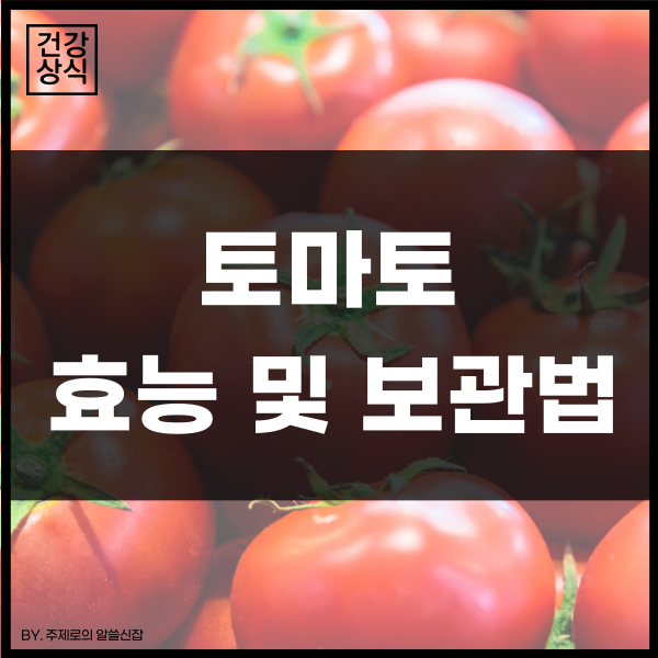 토마토의 효능 및 보관법