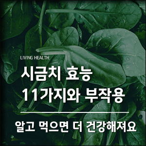 시금치-효능과-부작용