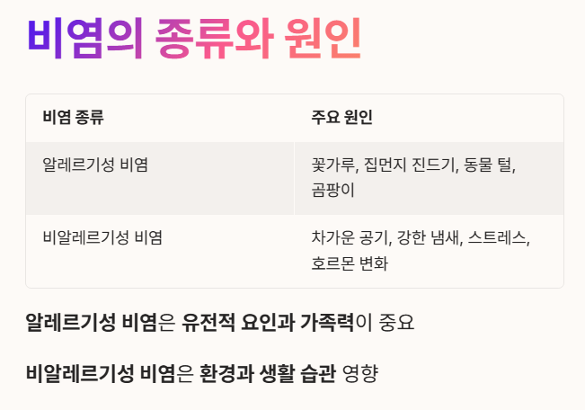 비염의 원인 및 종류