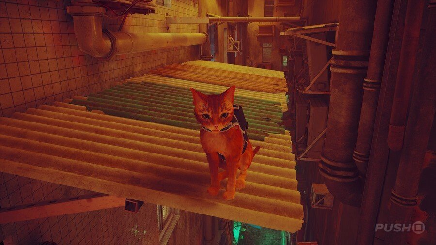  스트레이 공략, Stray: 모든 배지 위치