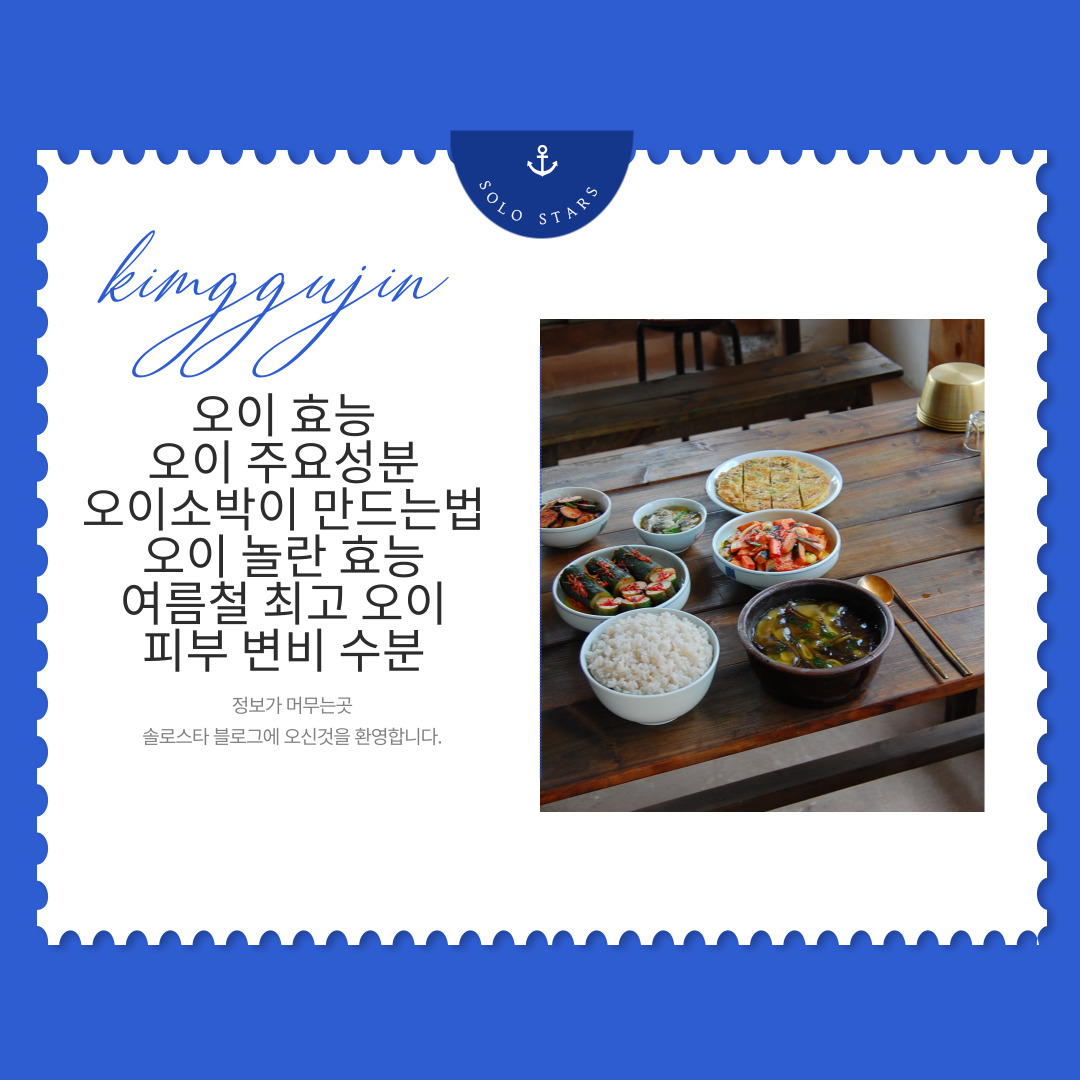 오이 관련 찬반 사진
