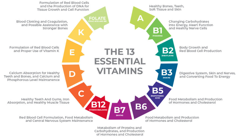 13대 비타민 종류별 효능 정리&#44; 13 Vitamins